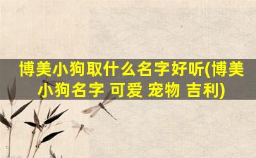 博美小狗取什么名字好听(博美小狗名字 可爱 宠物 吉利)